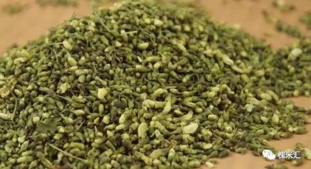 槐花与槐米的区别都有哪些