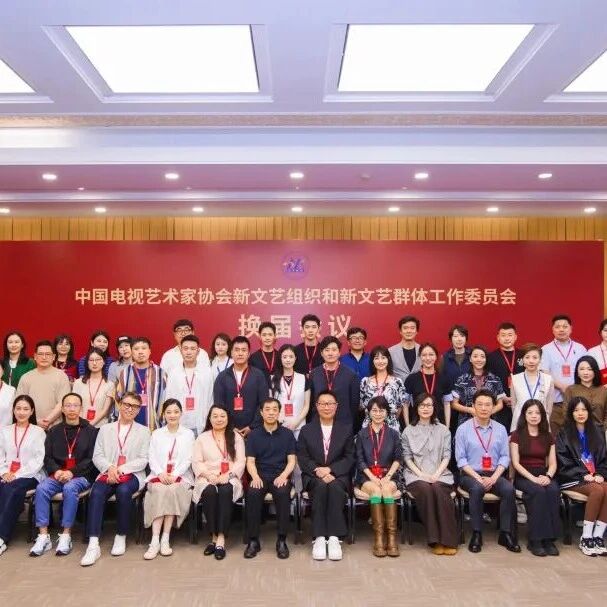 林永健任会长,李乃文、杨幂、佟丽娅、宋佳、梅婷等任副会长!中国视协双新委员会宣布换届