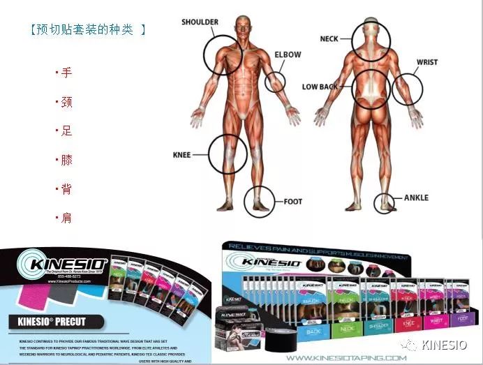 跑步运动损伤与康复+KINESIO国际肌内效贴扎KTAM培训 跑步运动损伤与康复+KINESIO国际肌内效贴扎KTAM培训