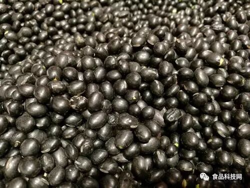 防脱发食物来了常吃7种食物可防掉发