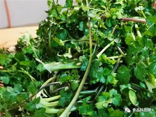 春天要养阳气，宜多吃6种升阳食物，少做4件耗阳的事