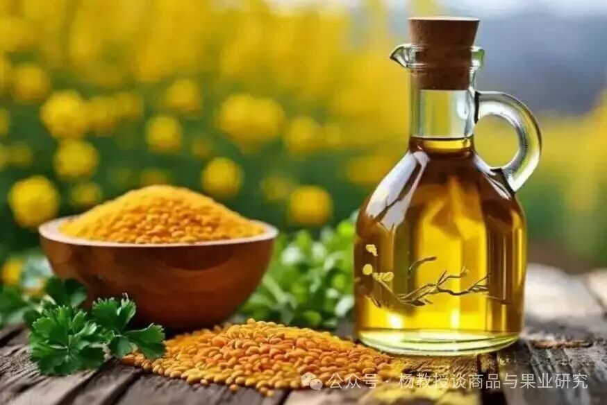 菜粕大幅下跌，机会在哪里？