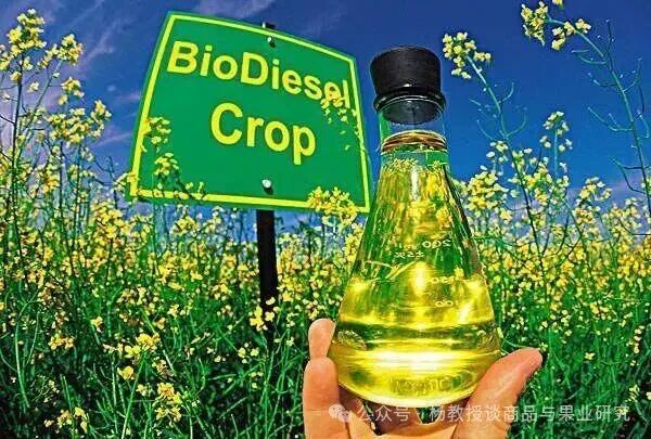 特朗普政府生柴计划对油脂的影响