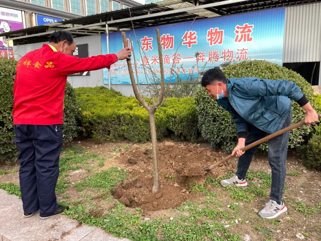 植树添新绿，不负好春光！集团广饶金田市场开展植树活动