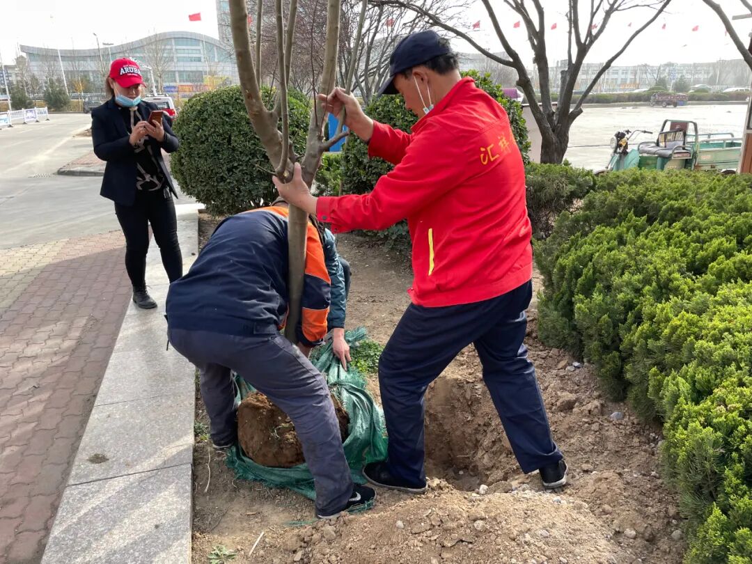 植树添新绿，不负好春光！集团广饶金田市场开展植树活动