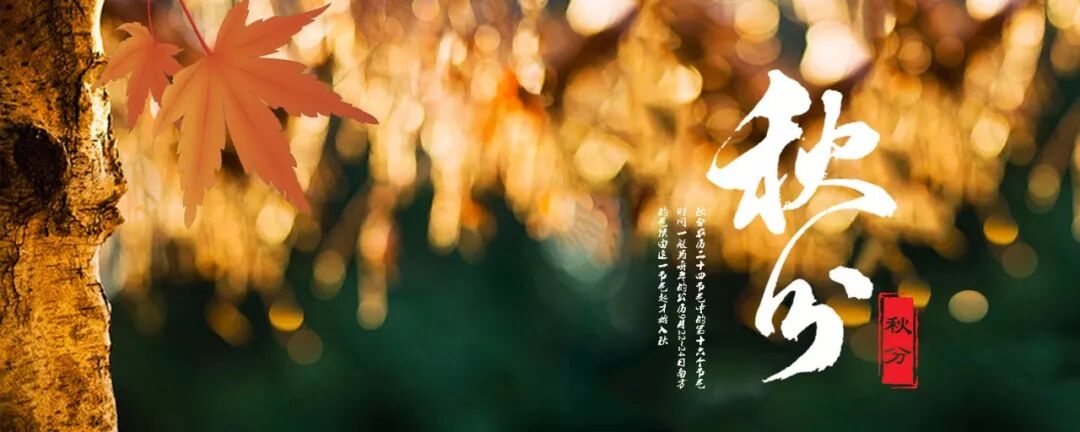 今日秋分 | 该喝黑茶了