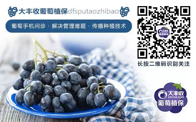 640?wx_fmt=jpeg&tp=webp&wxfrom=5&wx_lazy=1