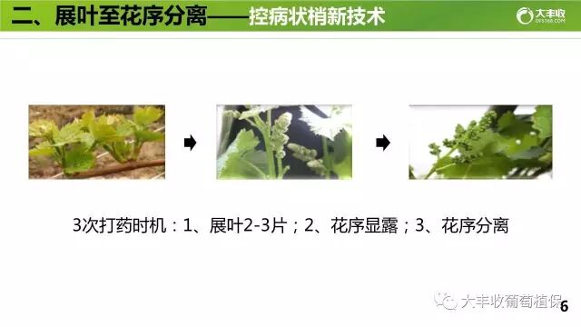 640?wx_fmt=jpeg&tp=webp&wxfrom=5&wx_lazy=1