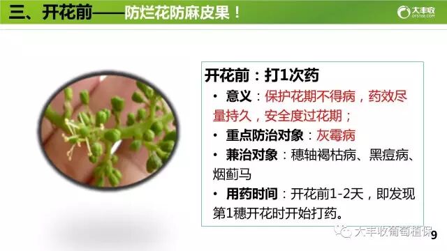 640?wx_fmt=jpeg&tp=webp&wxfrom=5&wx_lazy=1