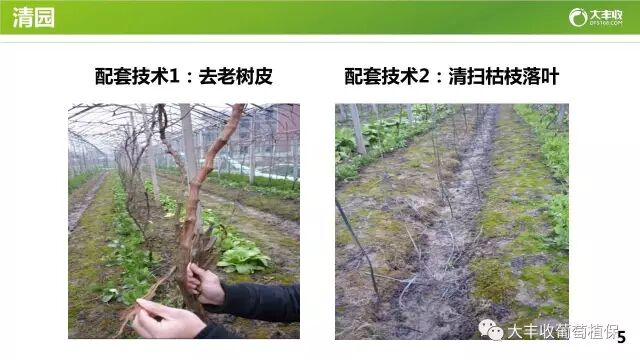 640?wx_fmt=jpeg&tp=webp&wxfrom=5&wx_lazy=1