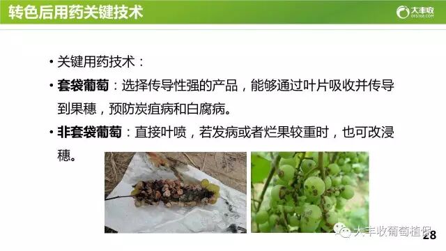 640?wx_fmt=jpeg&tp=webp&wxfrom=5&wx_lazy=1