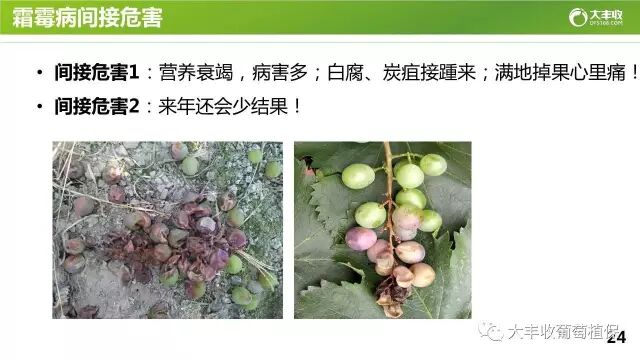 640?wx_fmt=jpeg&tp=webp&wxfrom=5&wx_lazy=1