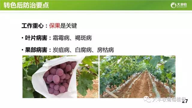 640?wx_fmt=jpeg&tp=webp&wxfrom=5&wx_lazy=1