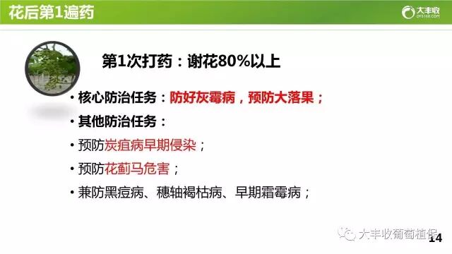 640?wx_fmt=jpeg&tp=webp&wxfrom=5&wx_lazy=1