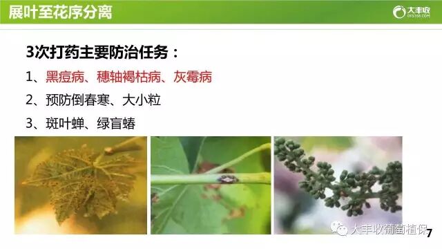 640?wx_fmt=jpeg&tp=webp&wxfrom=5&wx_lazy=1