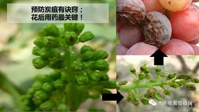 640?wx_fmt=jpeg&tp=webp&wxfrom=5&wx_lazy=1