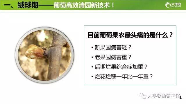 640?wx_fmt=jpeg&tp=webp&wxfrom=5&wx_lazy=1