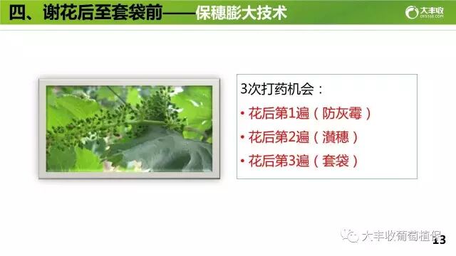 640?wx_fmt=jpeg&tp=webp&wxfrom=5&wx_lazy=1