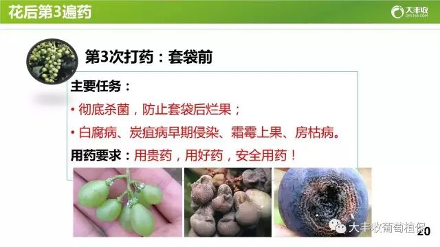 640?wx_fmt=jpeg&tp=webp&wxfrom=5&wx_lazy=1