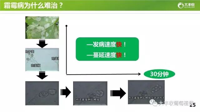 640?wx_fmt=jpeg&tp=webp&wxfrom=5&wx_lazy=1