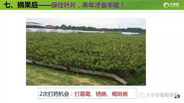 640?wx_fmt=jpeg&tp=webp&wxfrom=5&wx_lazy=1