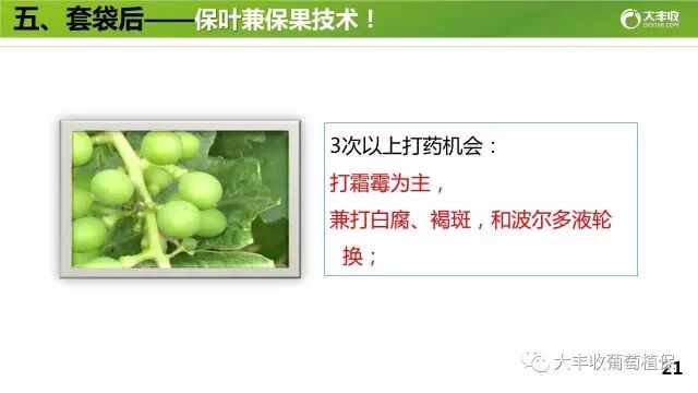 640?wx_fmt=jpeg&tp=webp&wxfrom=5&wx_lazy=1