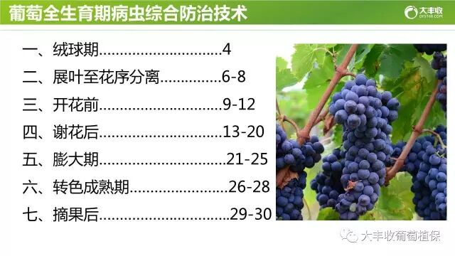 640?wx_fmt=jpeg&tp=webp&wxfrom=5&wx_lazy=1