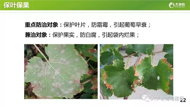 640?wx_fmt=jpeg&tp=webp&wxfrom=5&wx_lazy=1