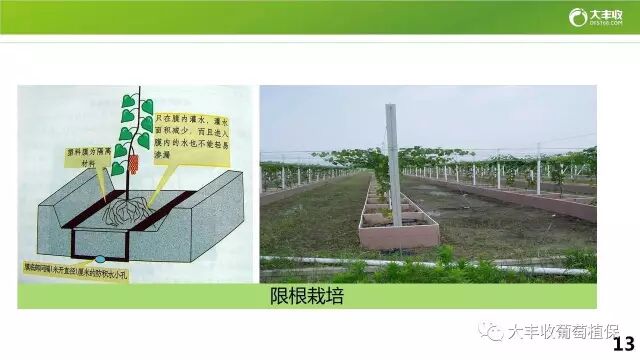 640?wx_fmt=jpeg&tp=webp&wxfrom=5&wx_lazy=1