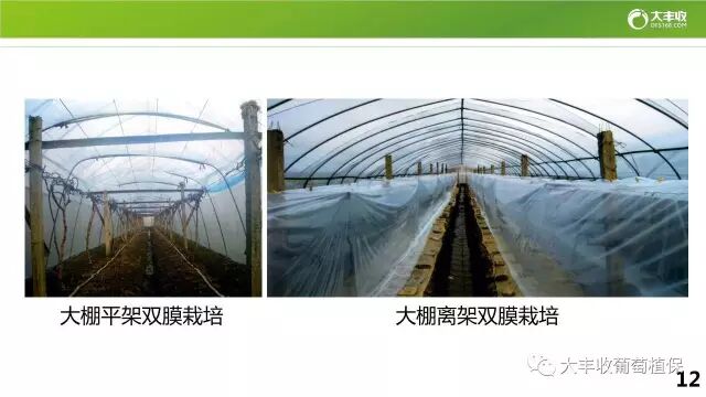 640?wx_fmt=jpeg&tp=webp&wxfrom=5&wx_lazy=1