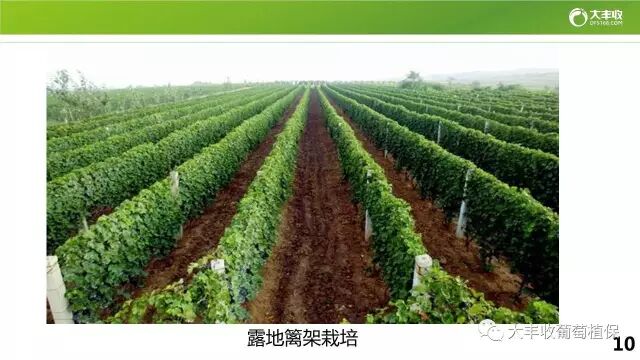 640?wx_fmt=jpeg&tp=webp&wxfrom=5&wx_lazy=1