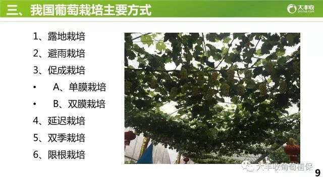 640?wx_fmt=jpeg&tp=webp&wxfrom=5&wx_lazy=1