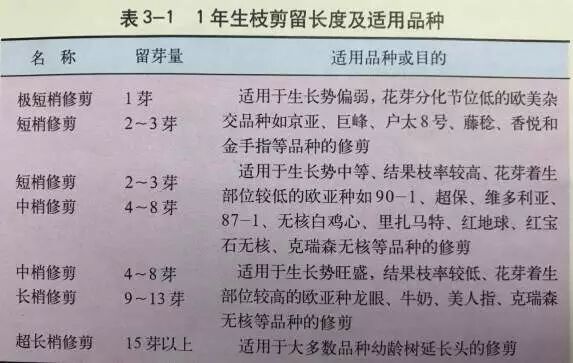 640?wx_fmt=jpeg&tp=webp&wxfrom=5&wx_lazy=1