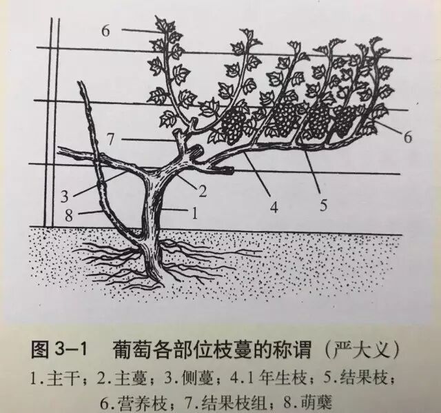 640?wx_fmt=jpeg&tp=webp&wxfrom=5&wx_lazy=1