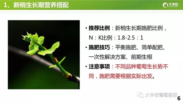 640?wx_fmt=jpeg&tp=webp&wxfrom=5&wx_lazy=1