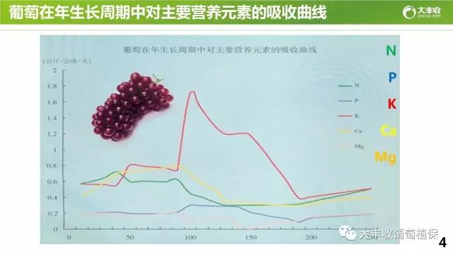 640?wx_fmt=jpeg&tp=webp&wxfrom=5&wx_lazy=1