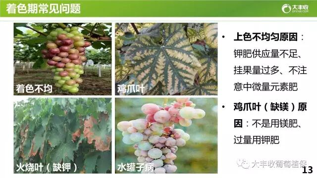 640?wx_fmt=jpeg&tp=webp&wxfrom=5&wx_lazy=1