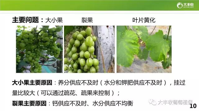 640?wx_fmt=jpeg&tp=webp&wxfrom=5&wx_lazy=1