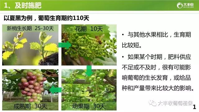 640?wx_fmt=jpeg&tp=webp&wxfrom=5&wx_lazy=1