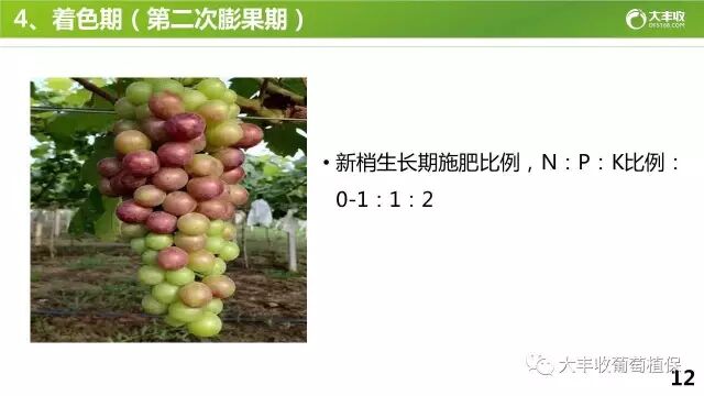 640?wx_fmt=jpeg&tp=webp&wxfrom=5&wx_lazy=1