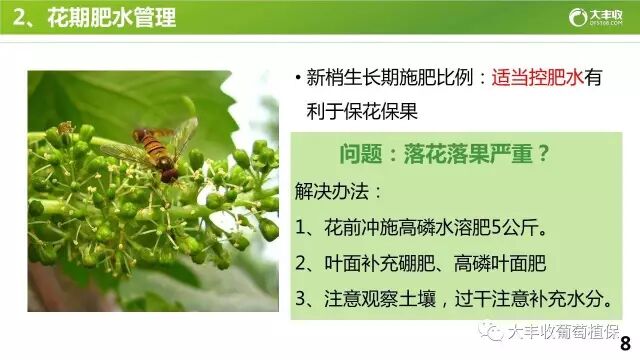 640?wx_fmt=jpeg&tp=webp&wxfrom=5&wx_lazy=1