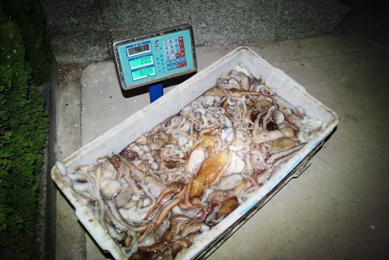 39岁,山东省邹城市人)如实供述了在国家禁渔期期间,驾驶渔船在屺姆岛