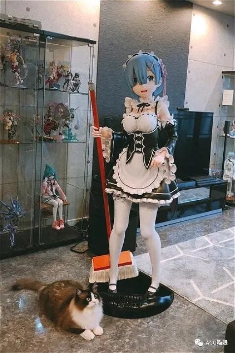 手办景品的意思_景品手办什么意思_什么是手办景品