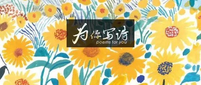 “我怎么会浪漫，浪漫是秋天罢了”