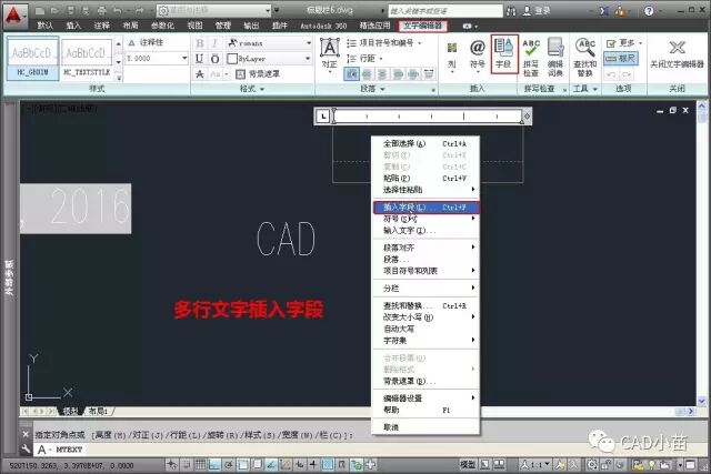 CAD的字段Field怎么用？