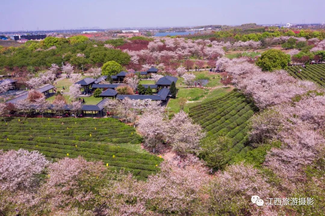 凤凰沟在哪里_凤凰沟的春天_凤凰沟风景区