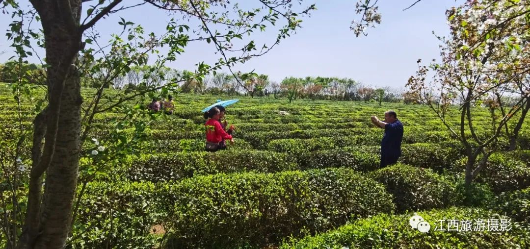 凤凰沟风景区_凤凰沟的春天_凤凰沟在哪里