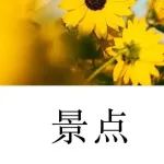 最新最全！广州这些公园绿地可搭帐篷！