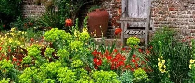 如果你在农村有个院子，千万不要荒废了