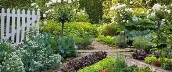 一楼院子这样设计，美美哒